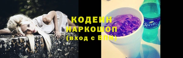mdpv Бородино