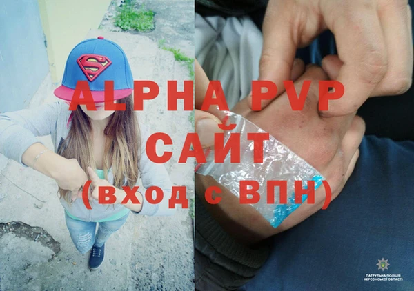 mdpv Бородино