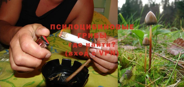 mdpv Бородино