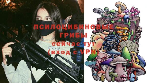 mdpv Бородино
