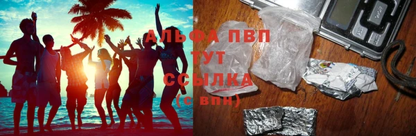 mdpv Бородино